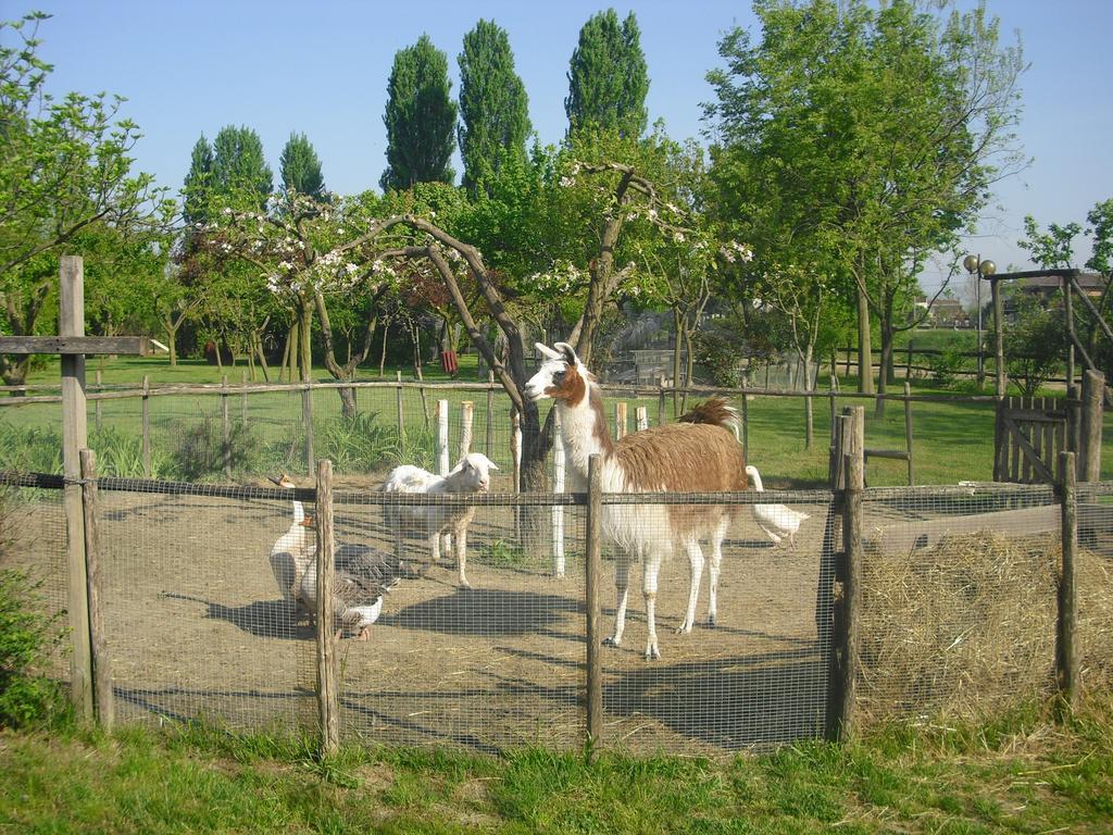 Agriturismo La Penisola Guest House Campo San Martino Exterior photo